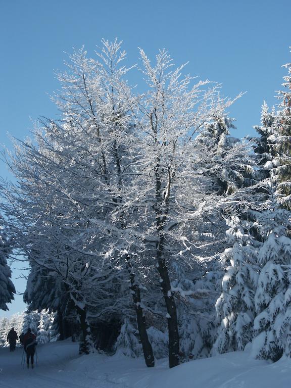 Haus Hinzberg Daire Oberhof  Oda fotoğraf